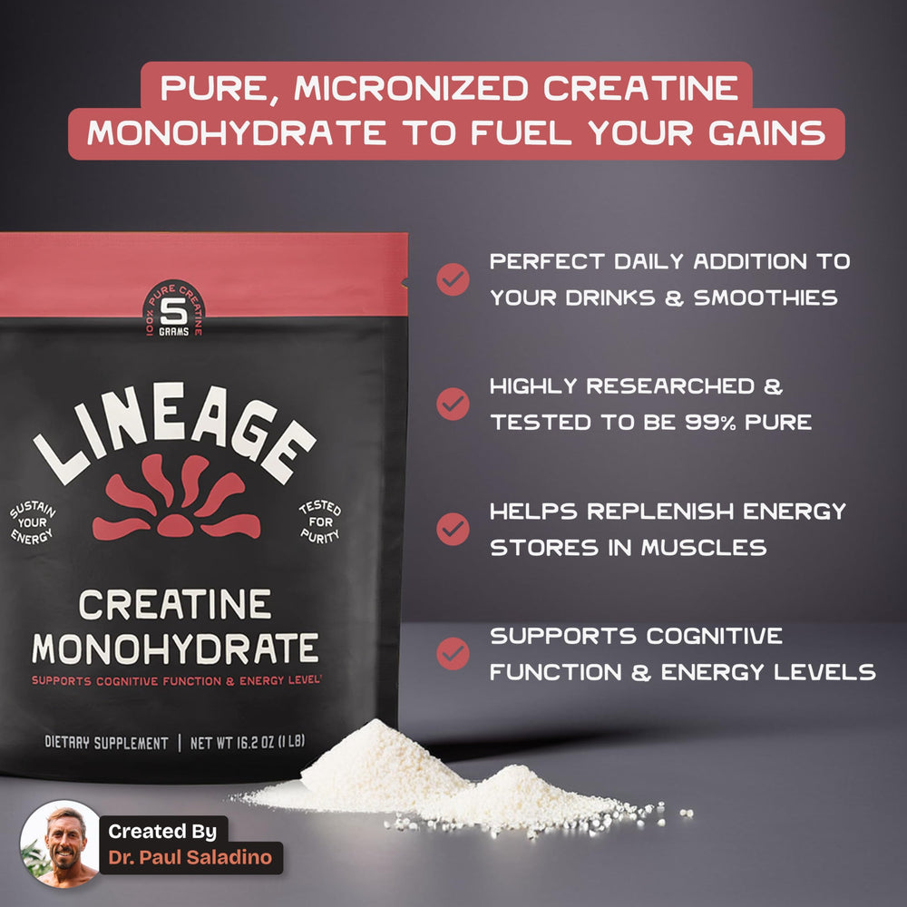 Lineage Provisions creatine powder scoop closeup shows fine texture for quick mixing
