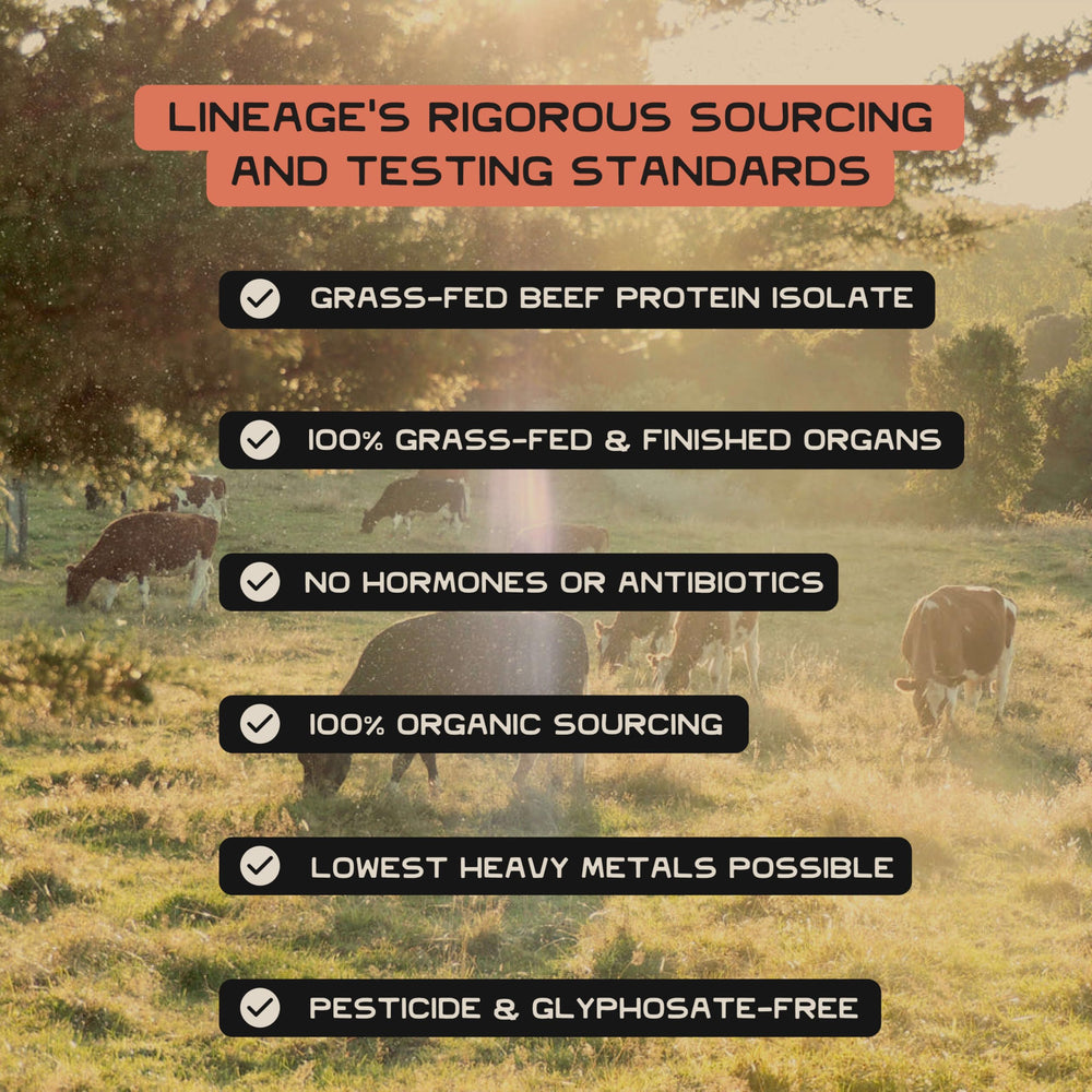 Lineage Provisions serving 90 servings icon communicates long-lasting training cycles