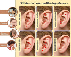 Litelogy bilingual ear acupoints chart with English and Chinese guidance.
