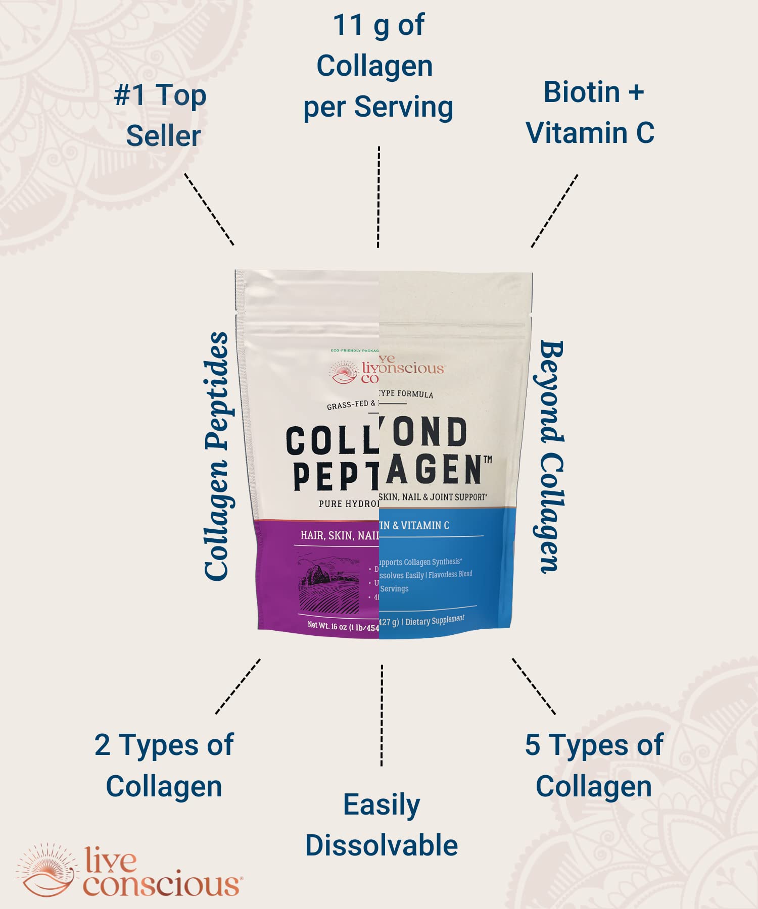 Close-up of collagen powder texture ideal for smooth mixing