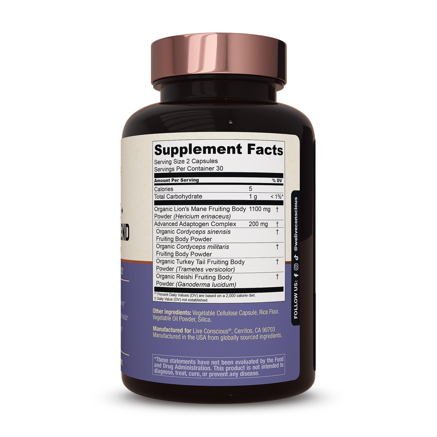 Live Conscious gut microbiome support with Lion's Mane blend.
