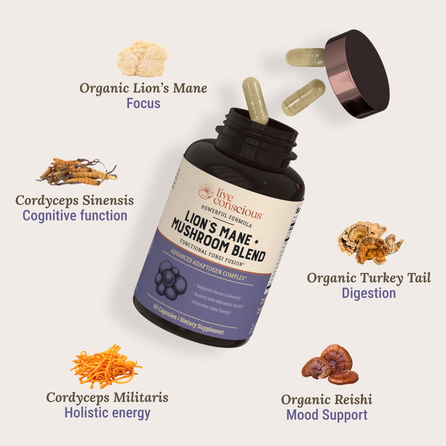 Live Conscious Lions Mane capsules closeup highlighting immune support potential.