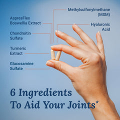 MoveWell label close-up emphasizes glucosamine, chondroitin, and MSM ingredients.
