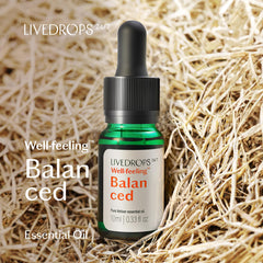 Livedrops 24/7 Balanced Vetiver diffuser setup for grounding ambiance