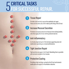 Liver Medic Leaky Gut Repair ingredients highlight glutamine for gut support.
