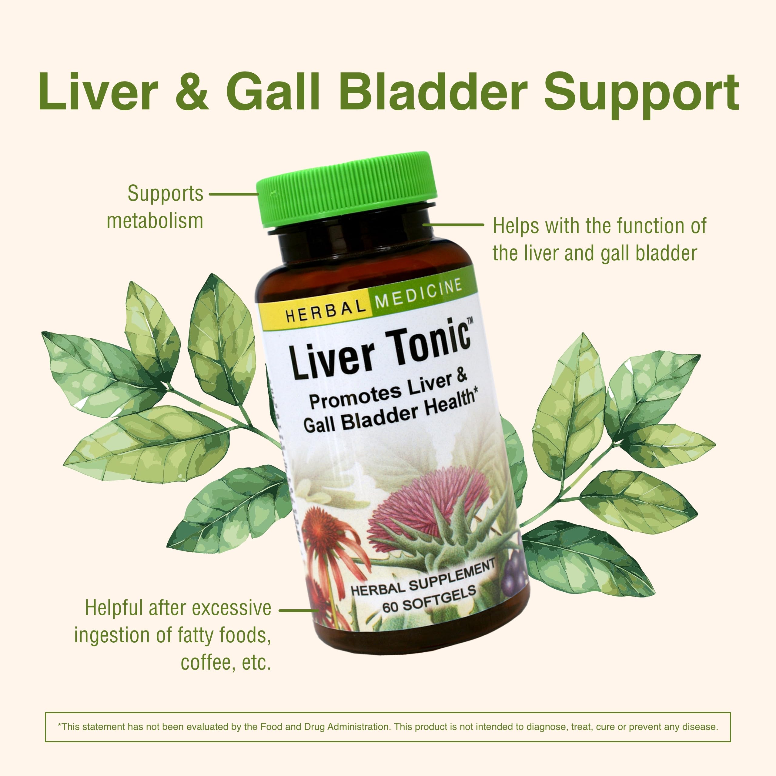 Liver Tonic milk thistle seed closeup emphasizing traditional botanicals