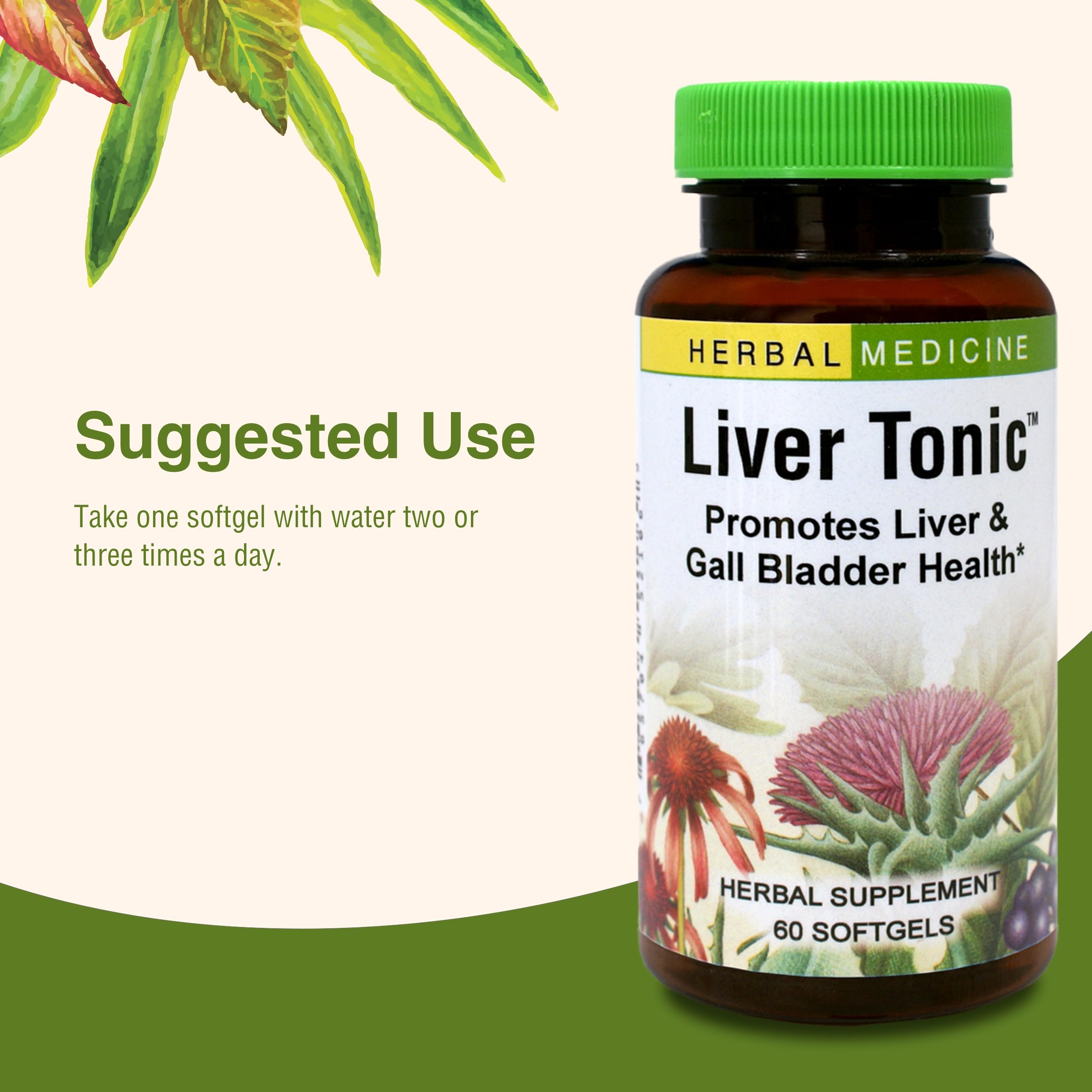 Liver Tonic Oregon grape root detail signaling cleansing-inspired botanicals