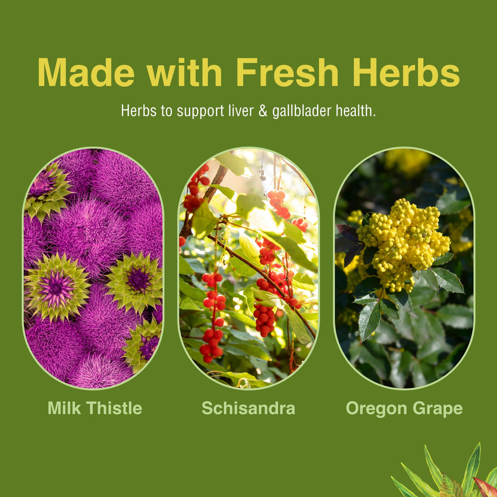 Liver Tonic schisandra berries closeup hints at tangy herbal profile