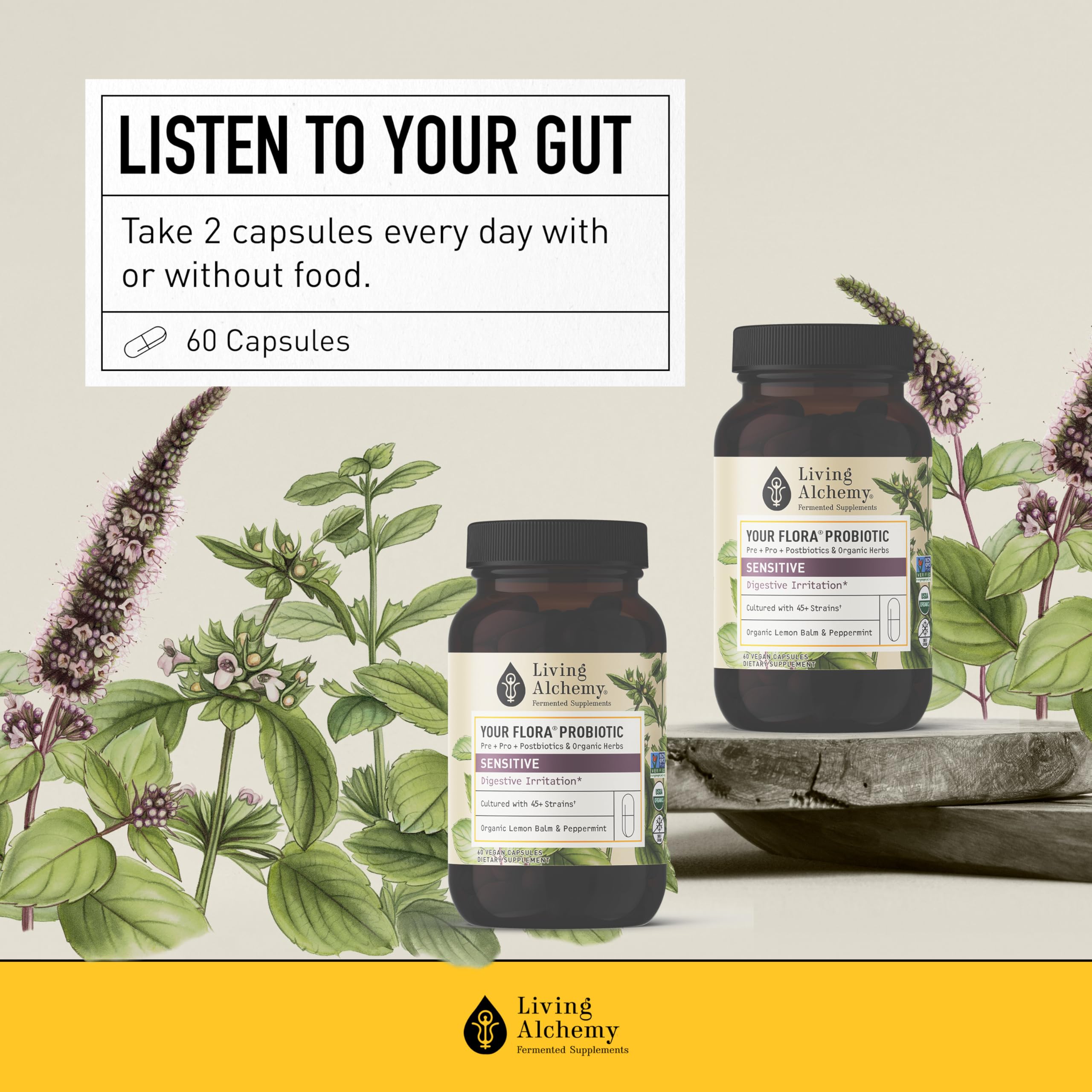 Living Alchemy daily-digestive-wellness capsules for easy wellness routines.