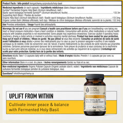 Living Alchemy Holy Basil capsules close-up suggesting focus and mood support.