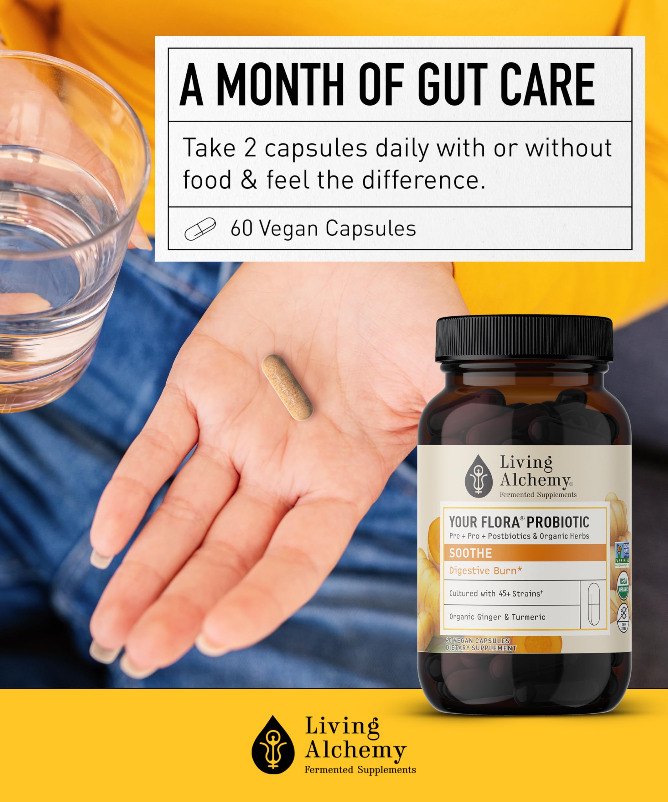 Gut balance concept art representing daily probiotic routine