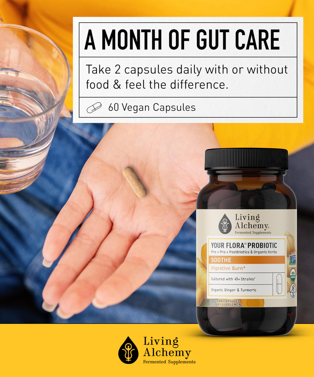 Gut balance concept art representing daily probiotic routine