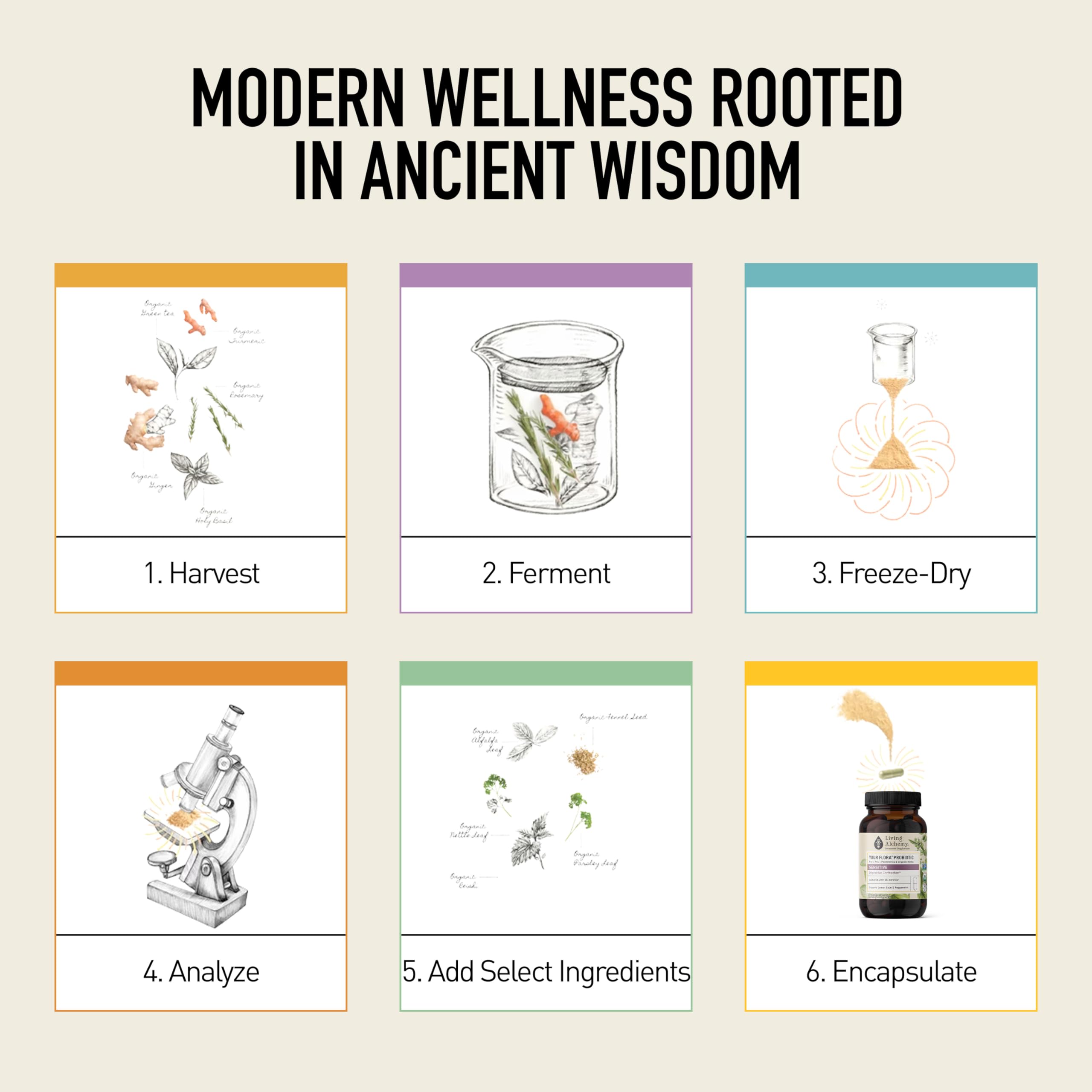 Living Alchemy real-life use at home supports everyday gut care.
