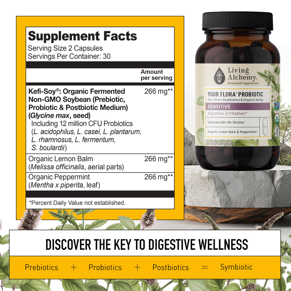 Living Alchemy Symbio Kefir-Kombucha fermentation highlights enhanced probiotic potency.