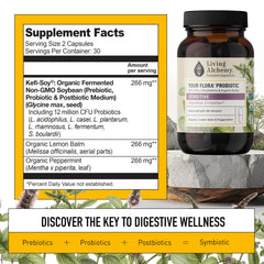 Living Alchemy Symbio Kefir-Kombucha fermentation highlights enhanced probiotic potency.