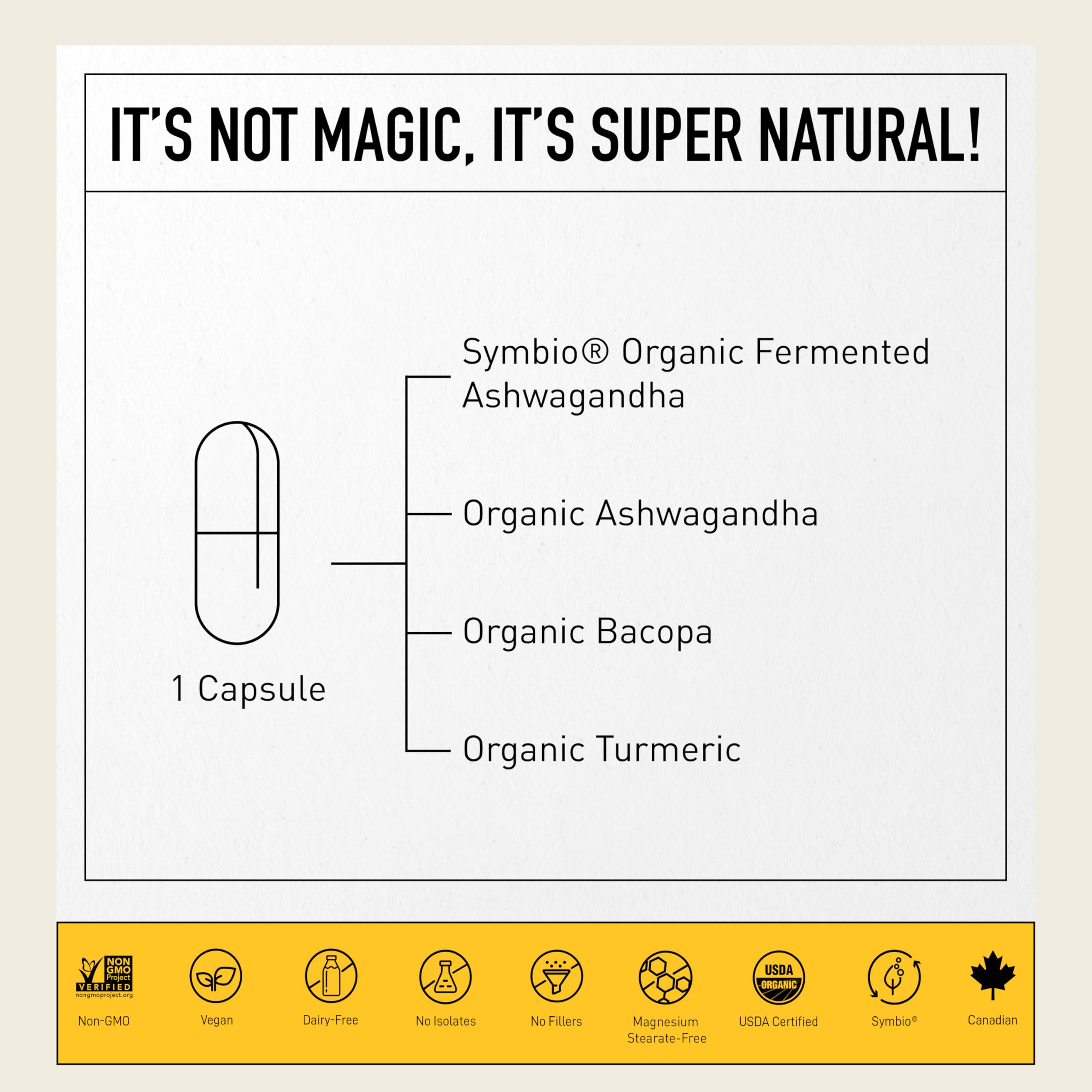 Living Alchemy turmeric-bacopa blend capsules highlighting cognitive support and mobility.
