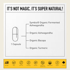 Living Alchemy turmeric-bacopa blend capsules highlighting cognitive support and mobility.