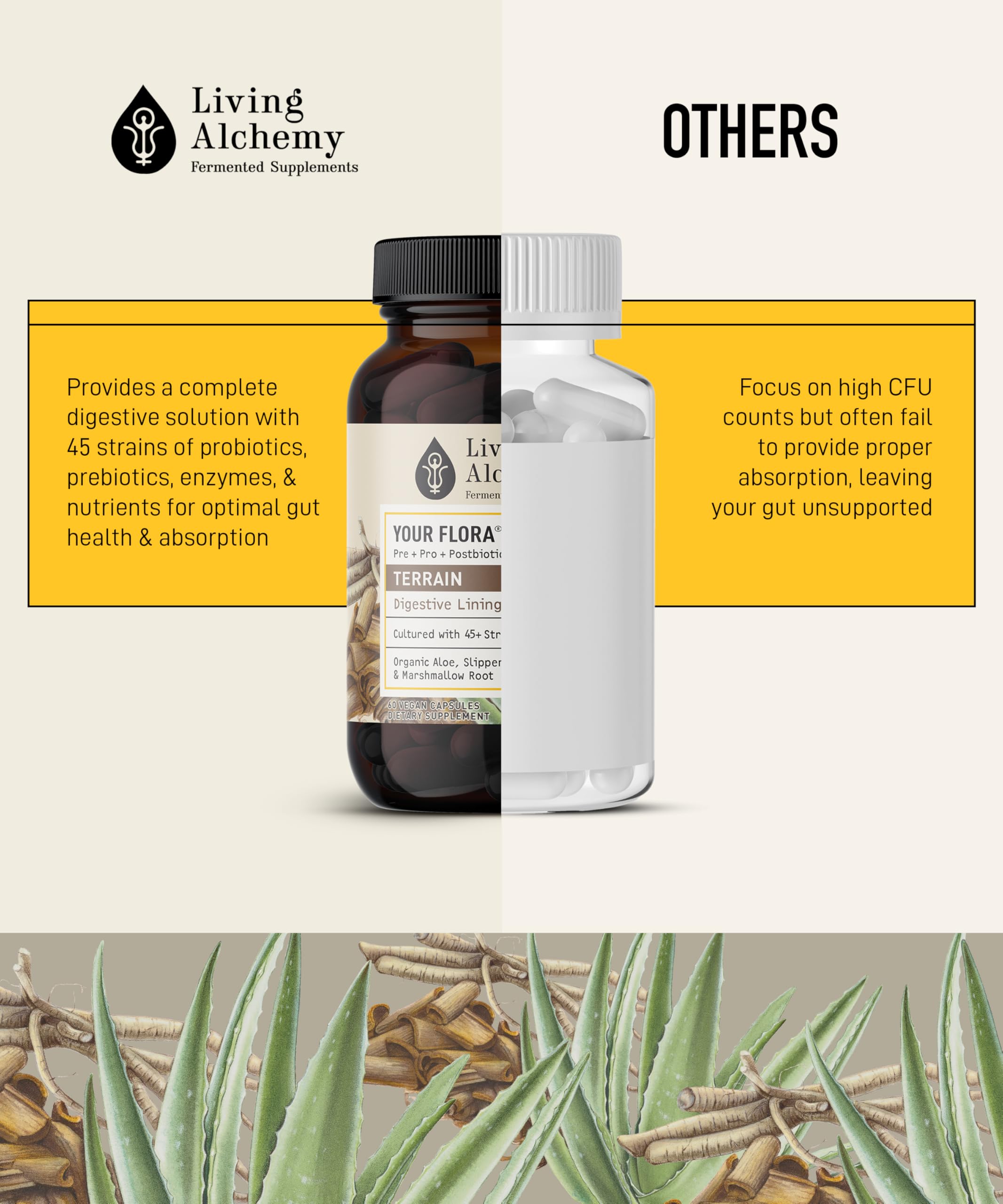 Living Alchemy Your Flora Terrain digestive-support-capsules arranged neatly emphasize ease of use.