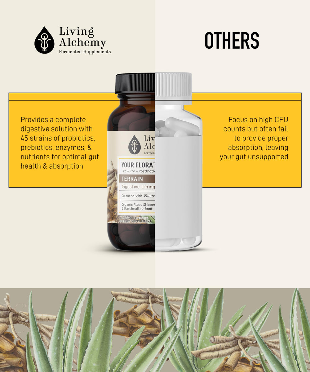 Living Alchemy Your Flora Terrain digestive-support-capsules arranged neatly emphasize ease of use.