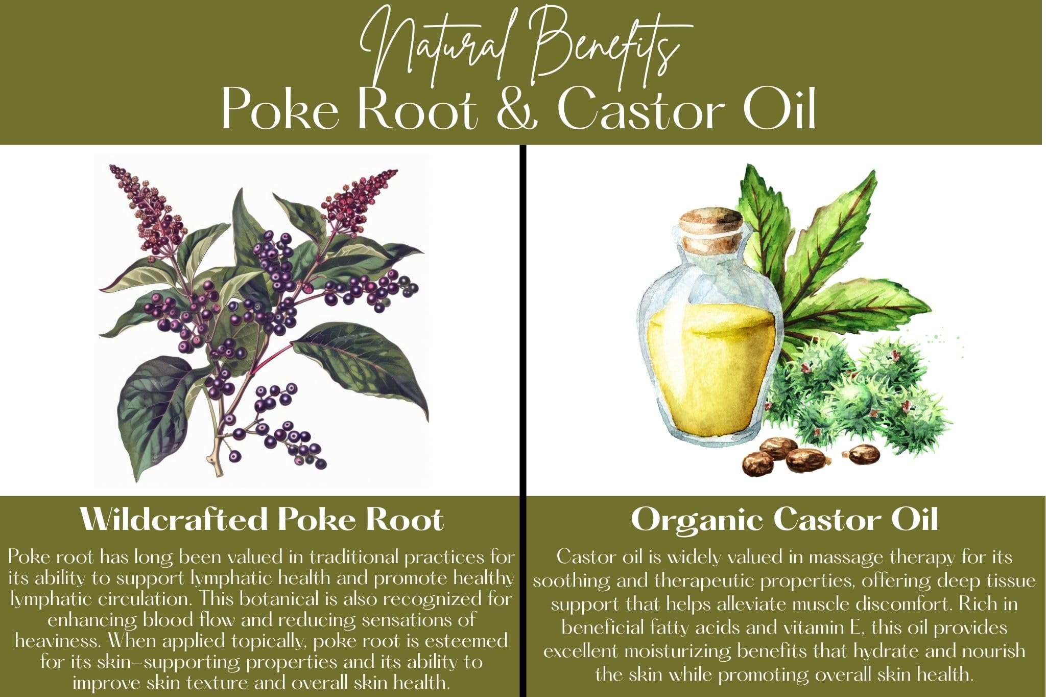Living Farms wild-harvested poke-root ingredients: natural blend for gentle skin care