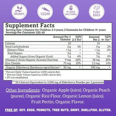 Llama Naturals Elderberry Gummies closeup fruit chews for tasty immunity support