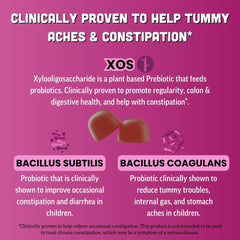 Llama Naturals Kids Probiotic chewables in mixed-berry flavor for easy daily use.