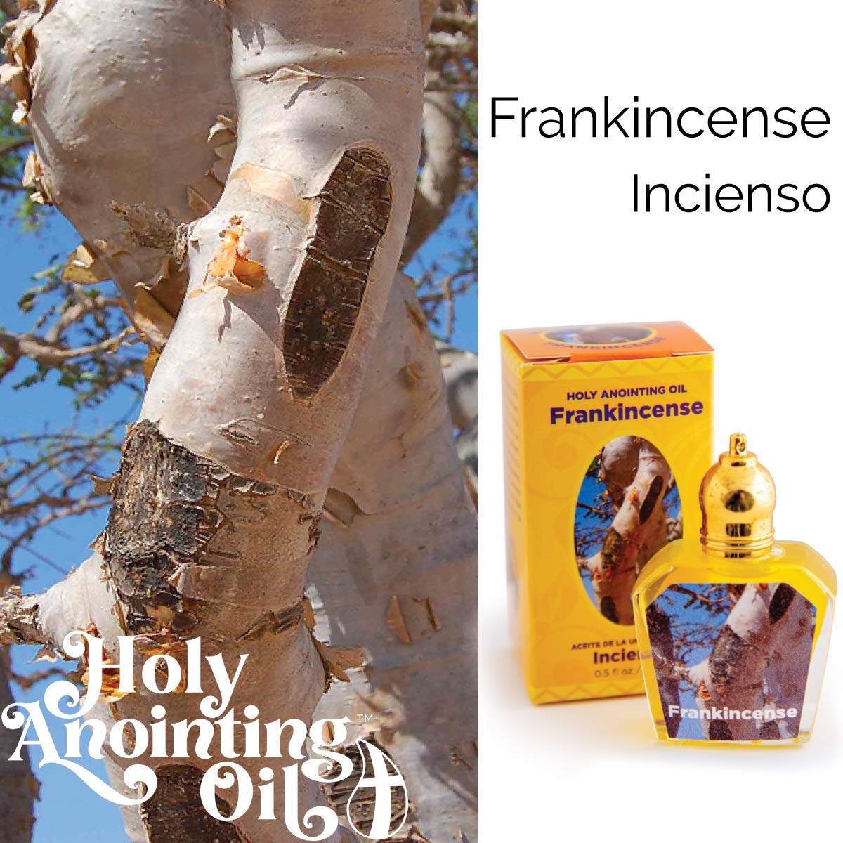 LOGOS Holy Anointing Oil frankincense Jerusalem gift box ideal for gifting clergy