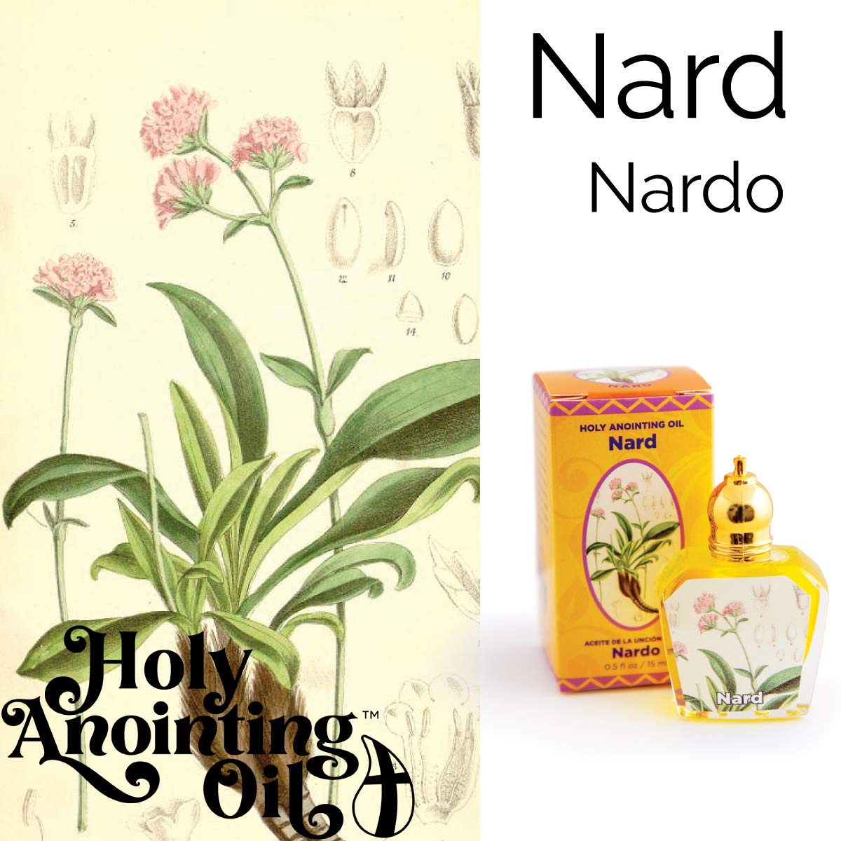LOGOS Holy Anointing Oil Nard packaging box for gifts to pastors and clergy.