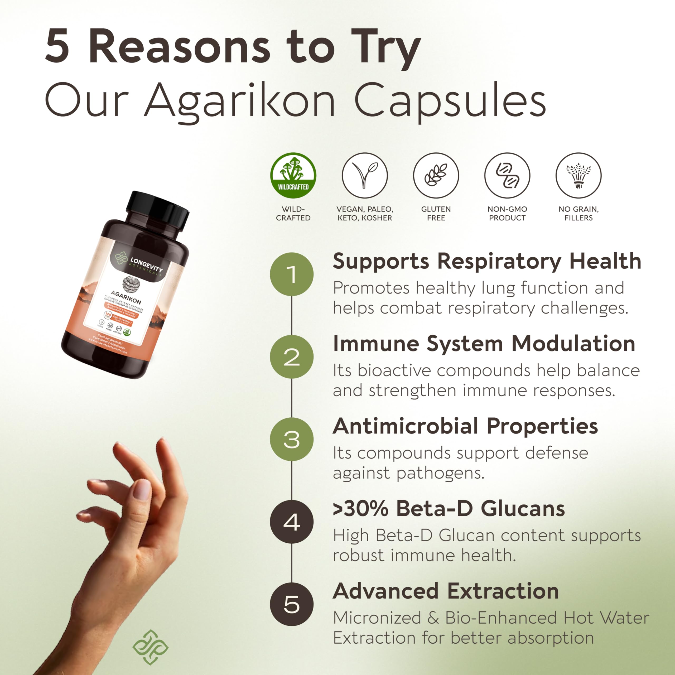 Longevity Botanicals Agarikon capsules closeup emphasizes 100% fruiting bodies for purity.