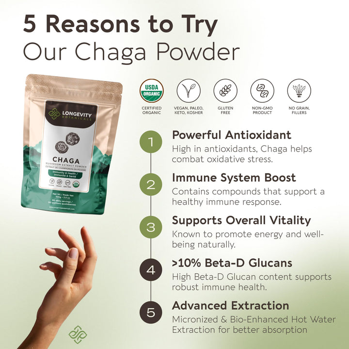 Longevity Botanicals Chaga powder with scoop ready for smoothies and hot beverages.