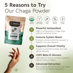 Longevity Botanicals Chaga powder with scoop ready for smoothies and hot beverages.