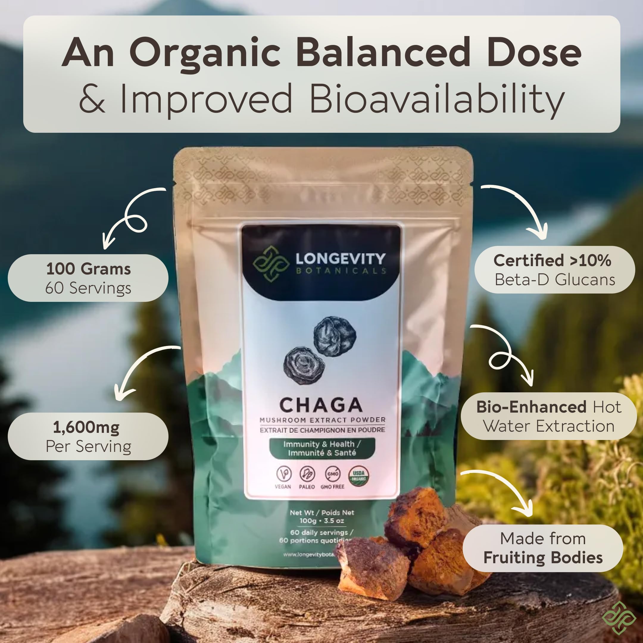 Chaga powder steeped in hot tea for comforting warmth and antioxidants.