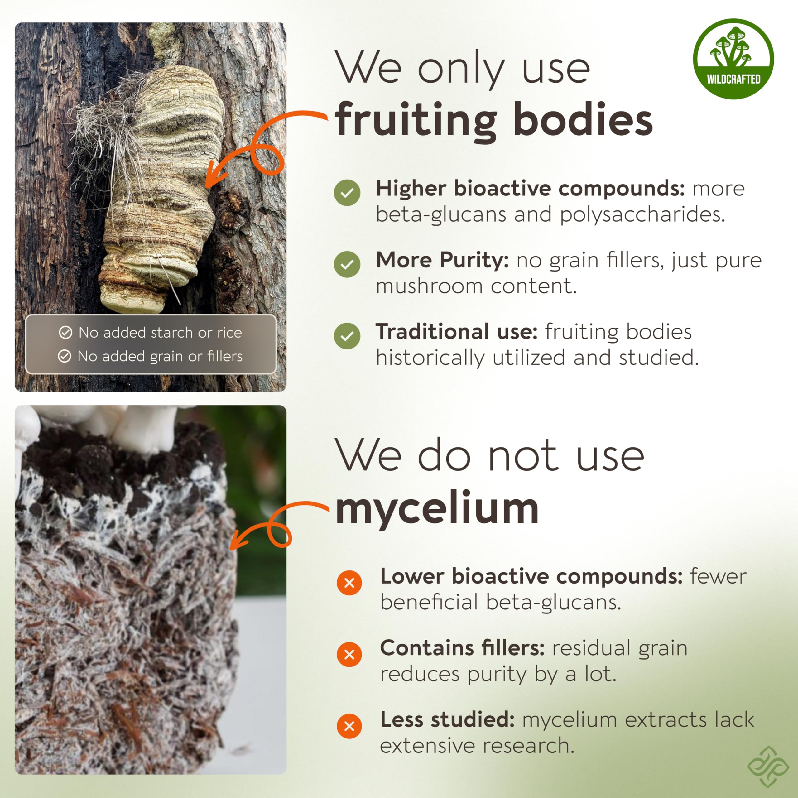 Longevity Botanicals fruiting-body agarikon slices emphasize authentic mushroom source.
