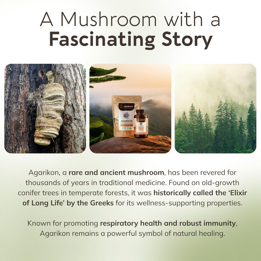 Longevity Botanicals immune support daily-use concept for routine wellness.