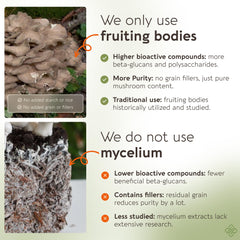 120-count Maitake capsules for easy daily gut and immune support