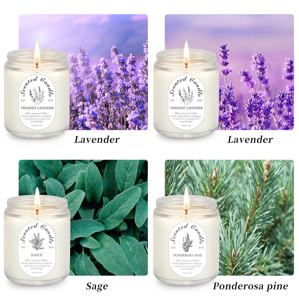 LOSNYA sage candle jar offers a balanced, focused mood in a quiet room.