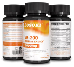 Losoki VB-200 usage scene suggesting a daily routine for sustained energy.