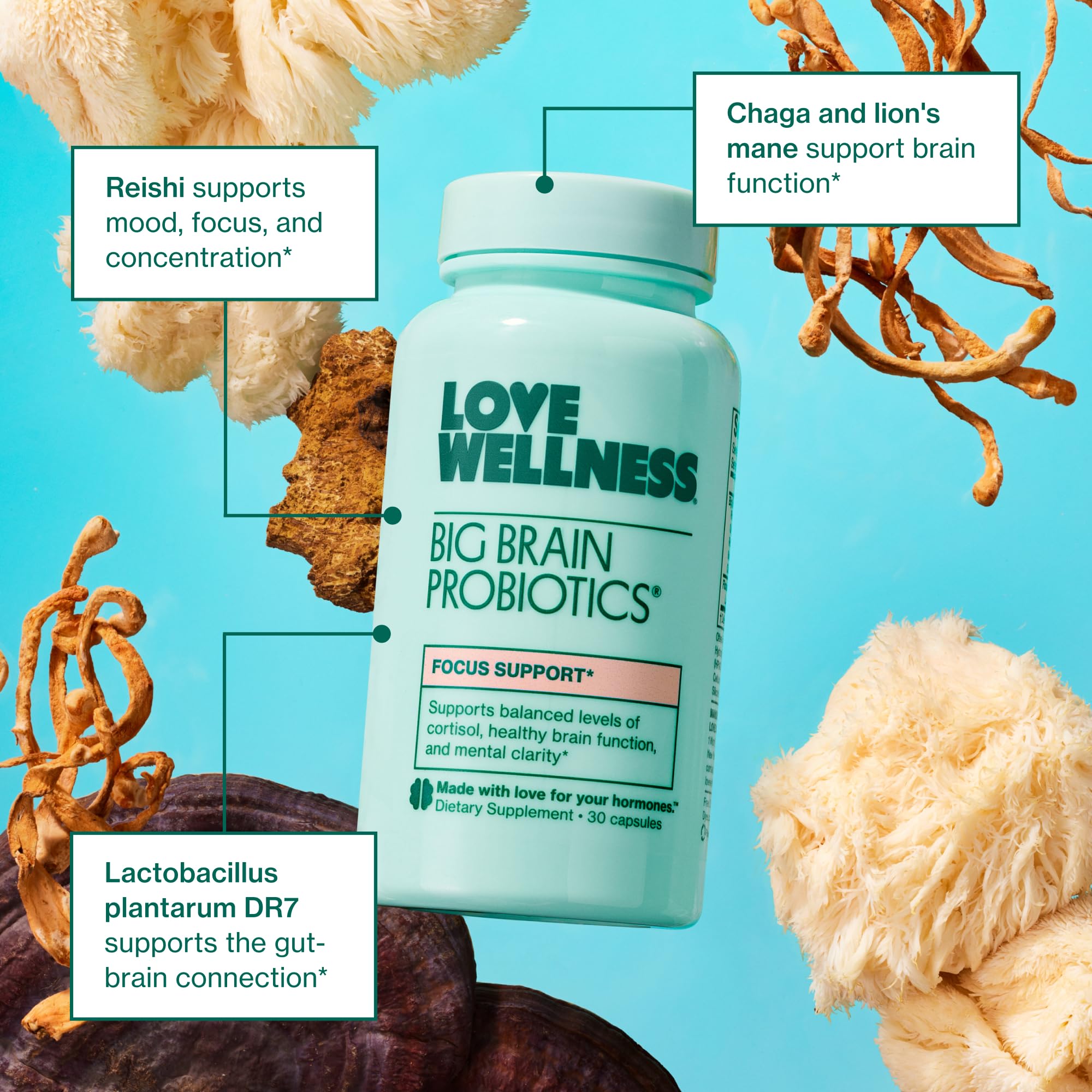 Love Wellness Big Brain Probiotics envase dentro de la caja: presentación lista para consumir.