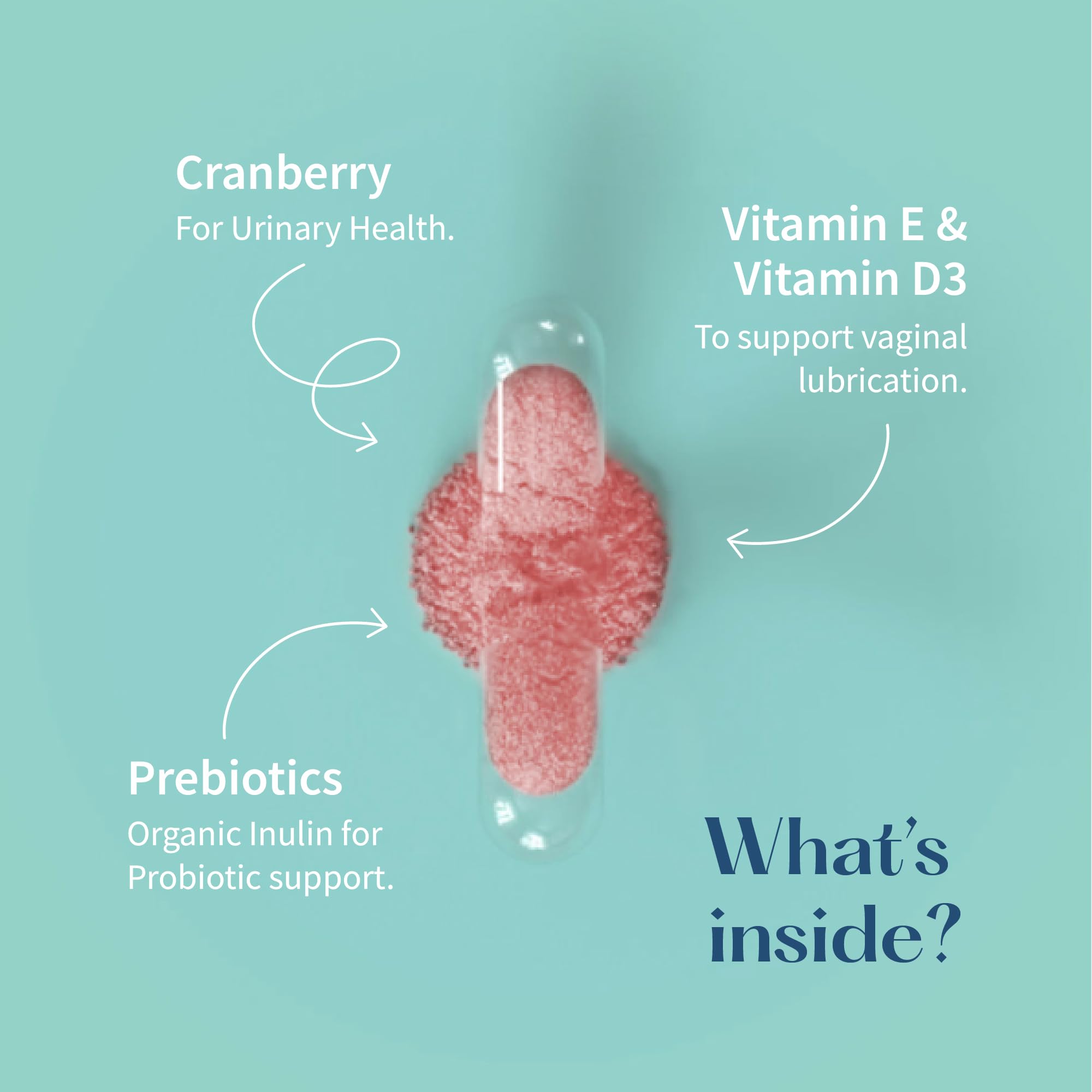 LoveBug V-Best vitamins D & E diagram indicates lubrication and daily wellness support