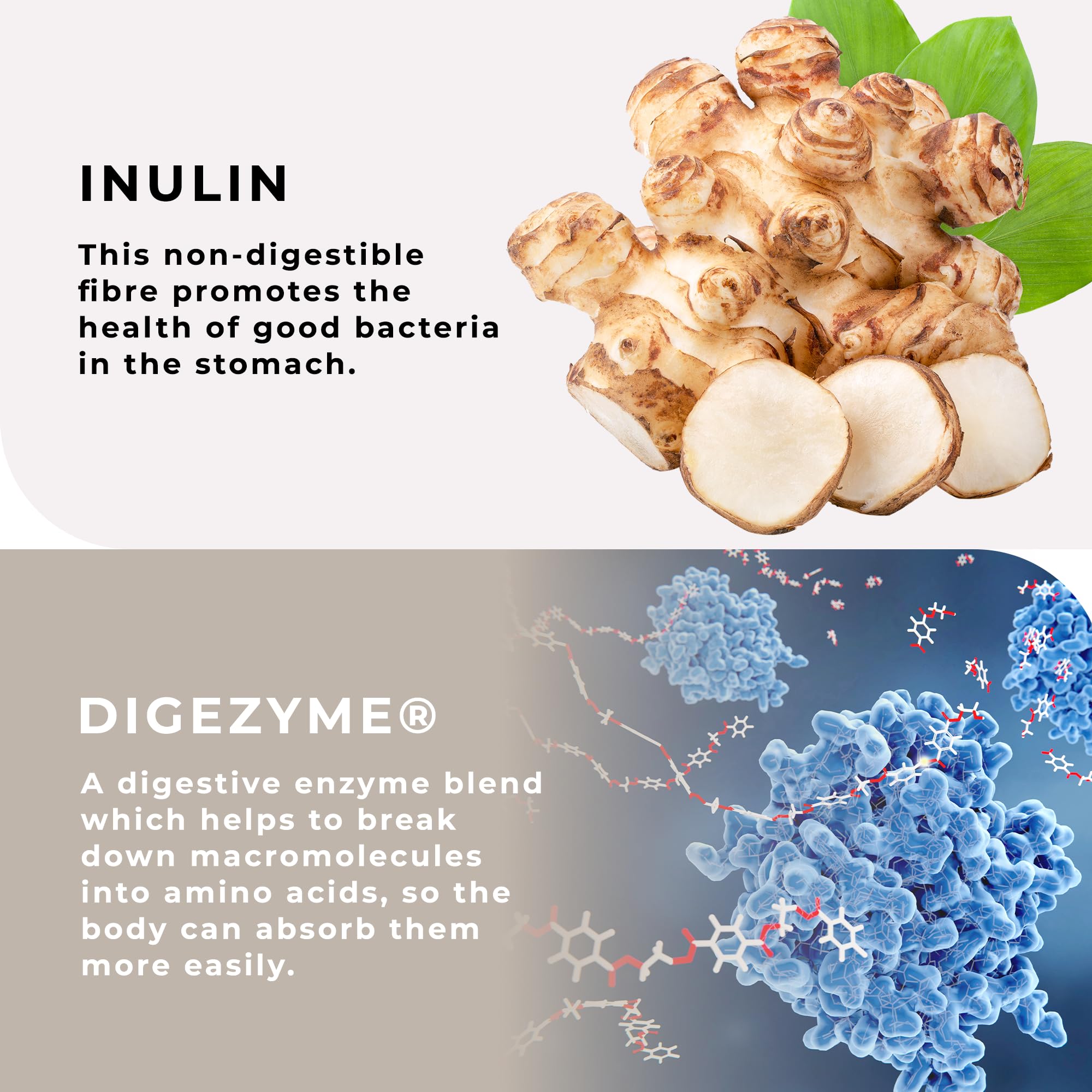 Love Life Multispore Plus enzyme blend icon highlighting digestion support.