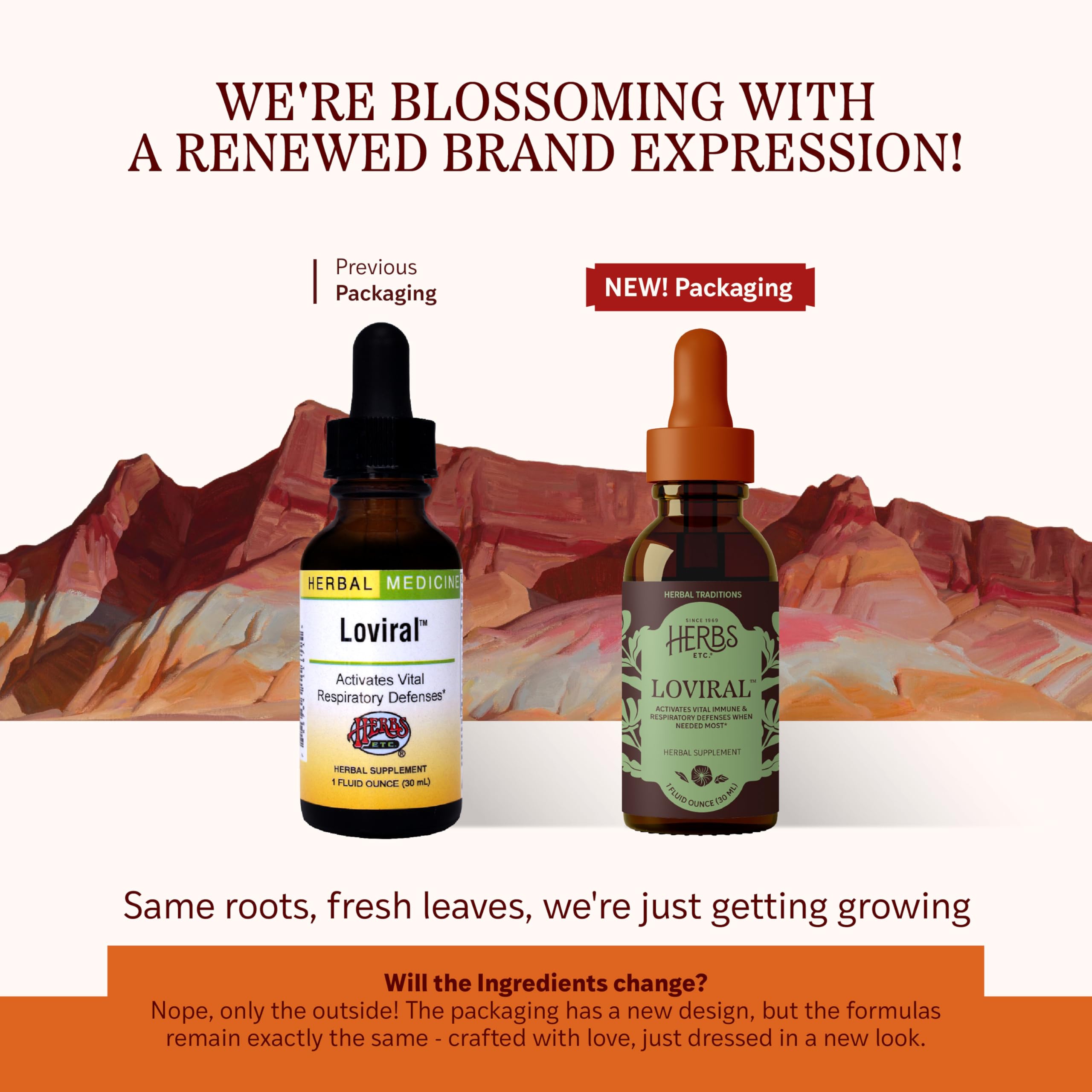 Loviral ingredient visual highlights lomatium, osha, elecampane, and echinacea for immune-friendly respiratory support.