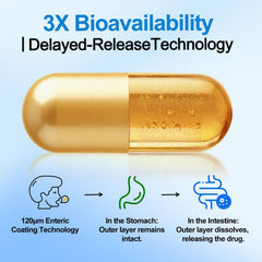 LSOIUX Berberine capsules front view showing vegan and non GMO attributes.