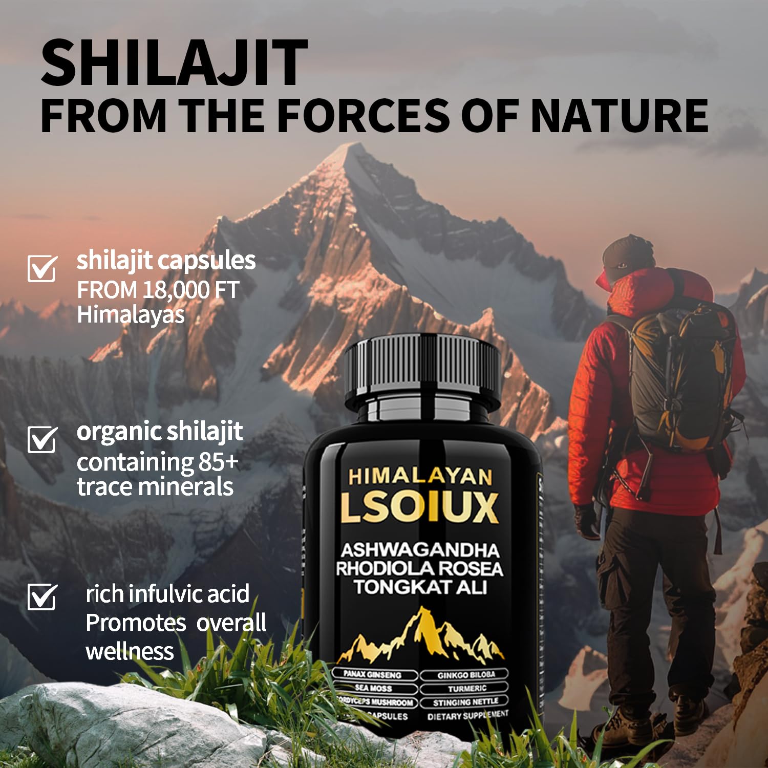 LSOIUX Shilajit Pure rich fulvic acid for mineral support