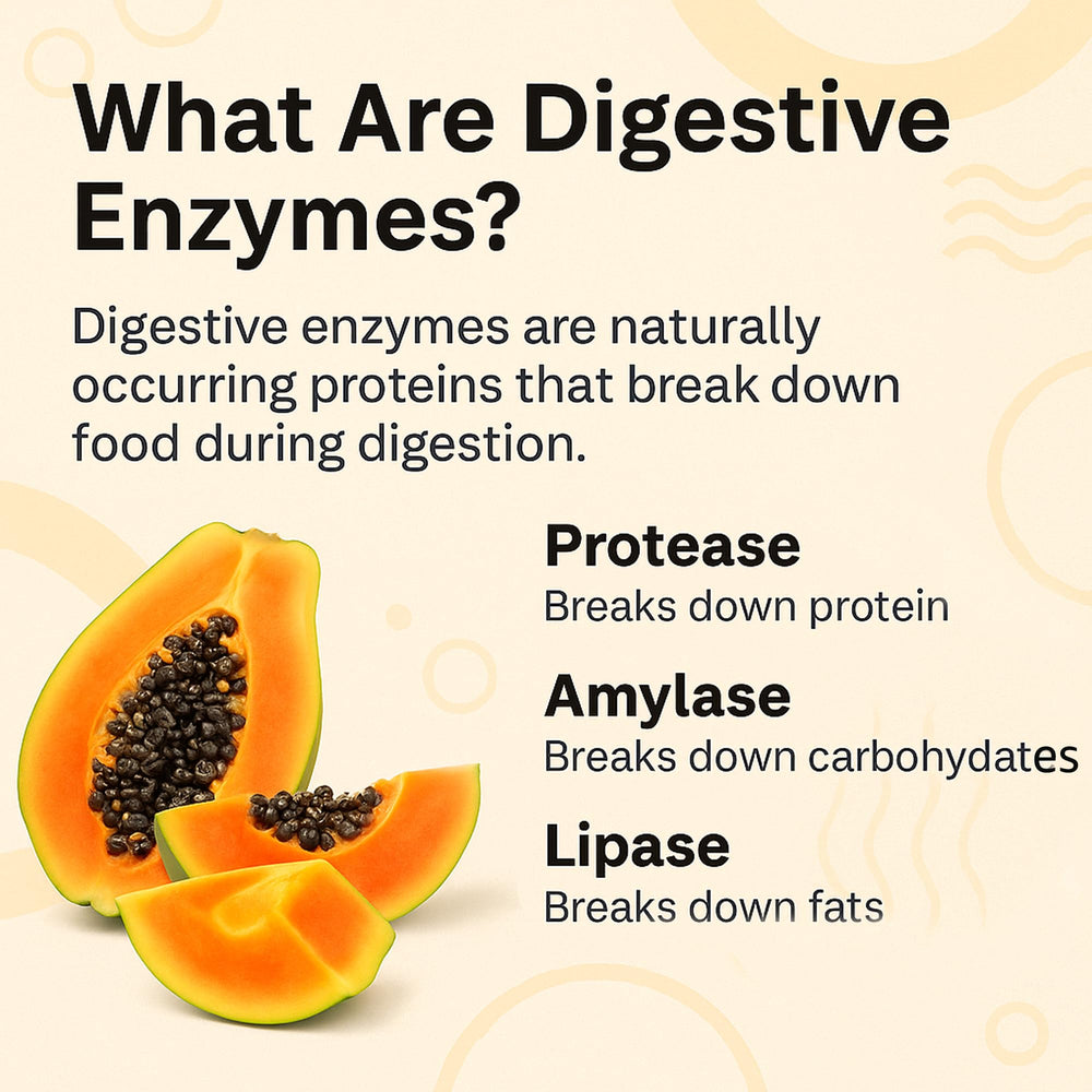 Bottle with third-party testing badge for LUAL Papaya Enzyme Complex purity