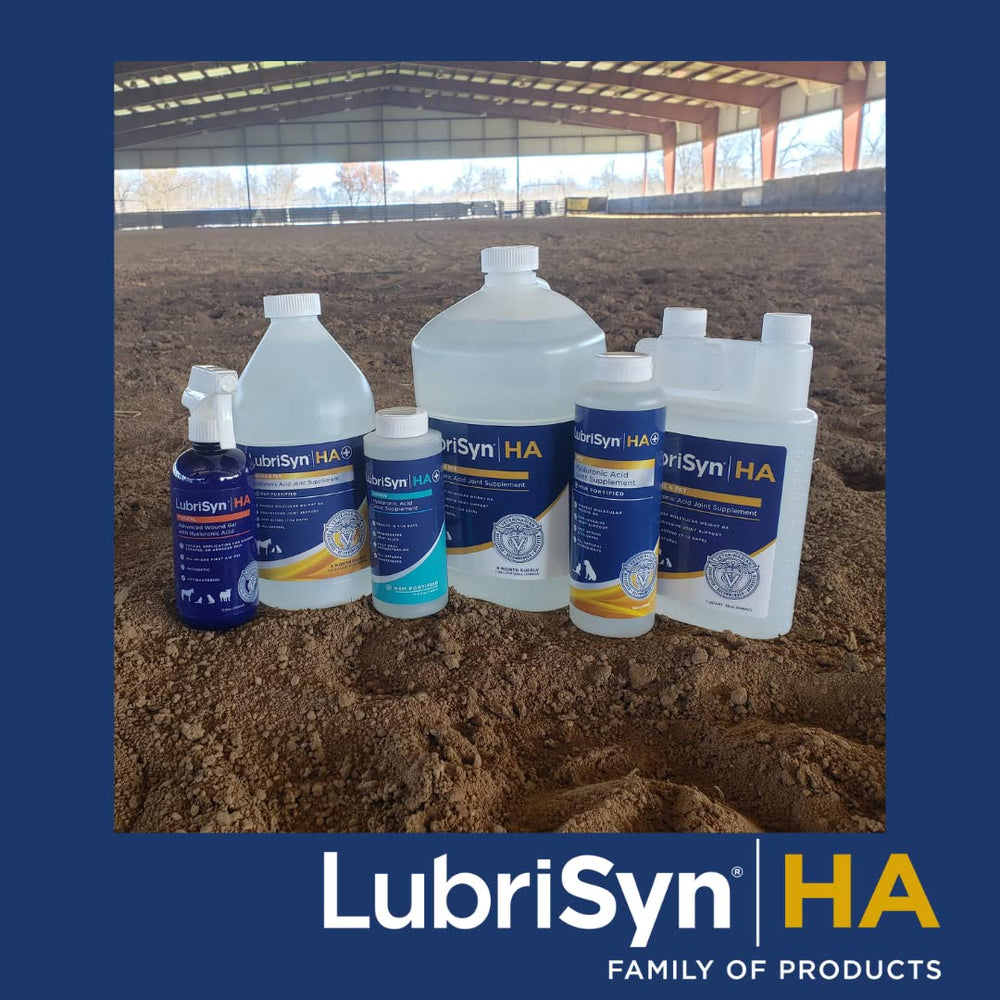 LubrisynHA daily-use routine scene emphasizing hydration and comfort