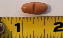 Close-up of LugoTab 25 mg tablets showing consistent color for reliable potency.