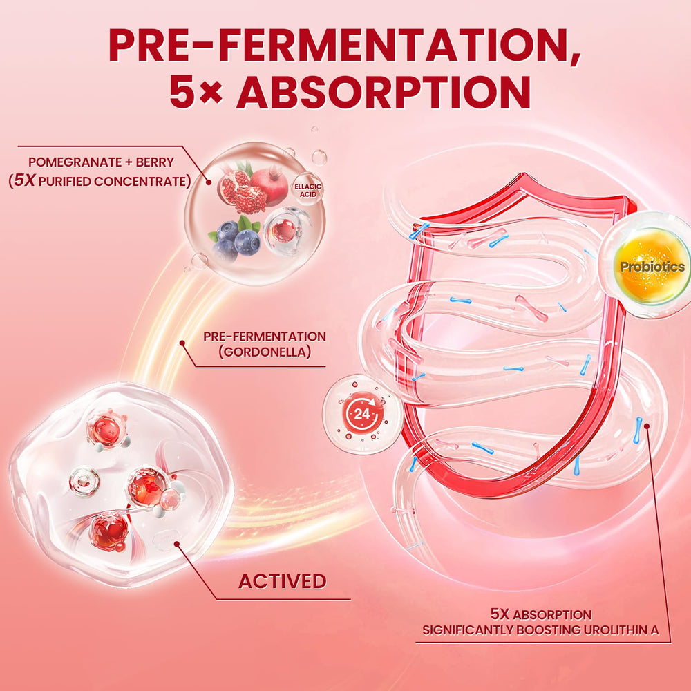 Lukaree Urolithin A+ absorption tech image shows pre-fermentation and pepper guidance
