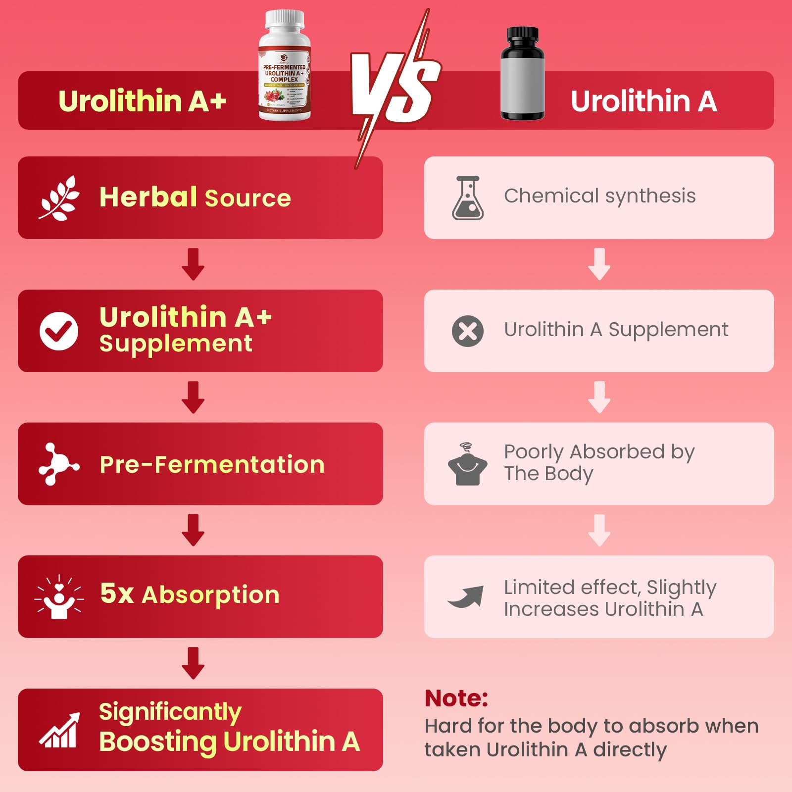 Lukaree Urolithin A+ digestive trio supports balanced gut function