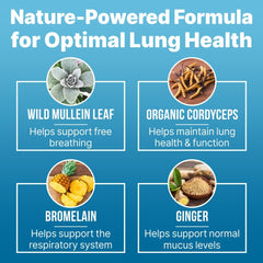 Mullein leaf ingredients scene highlighting natural botanicals in Lung Clear Pro.
