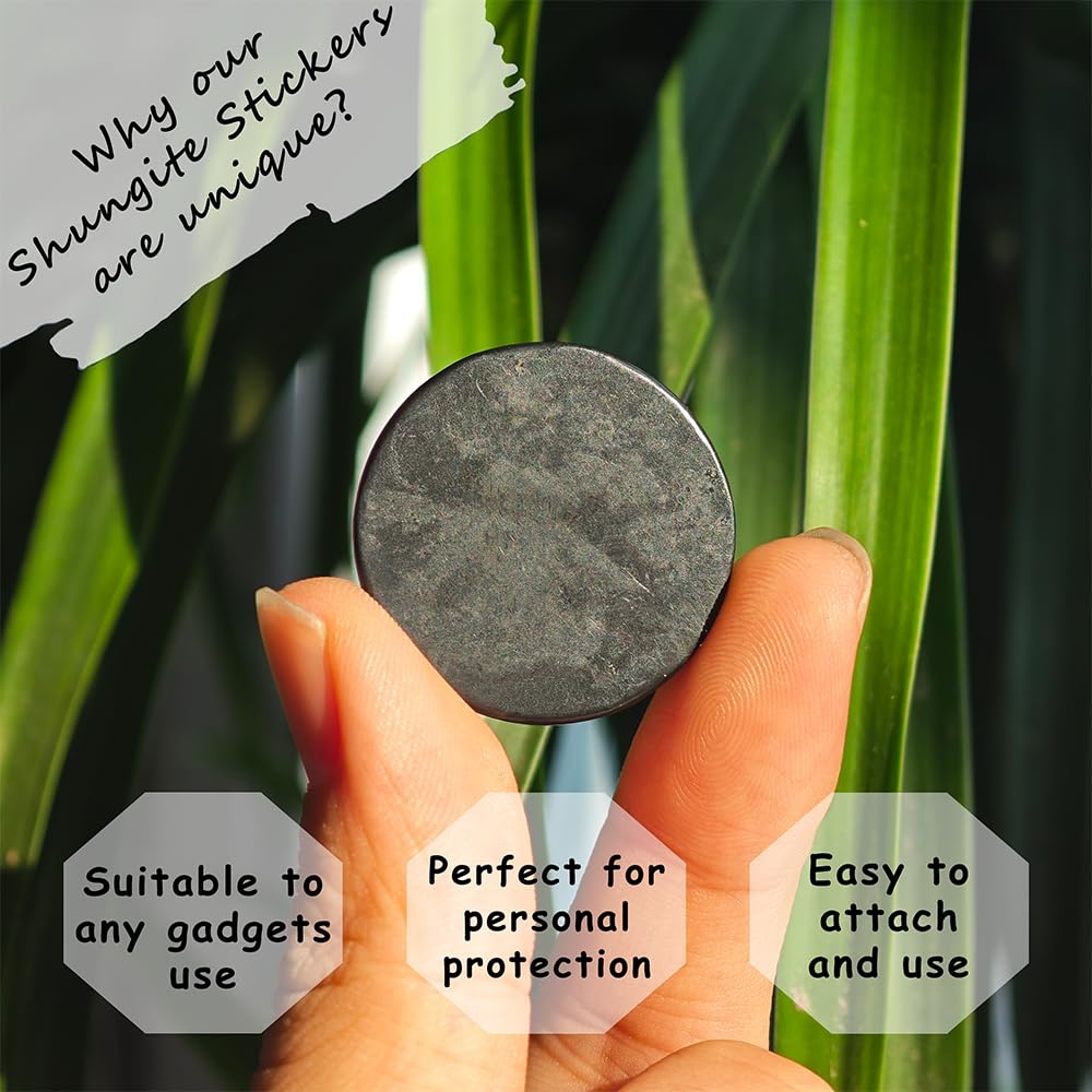 LWQCHW polished shungite surface highlighting natural stone texture